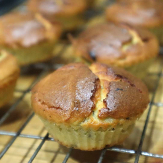 Coconut Vanilla Muffins